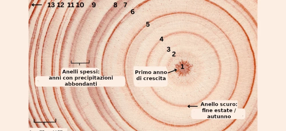 Come la paleoclimatologia ricostruisce il passato climatico della Terra (terza  parte)